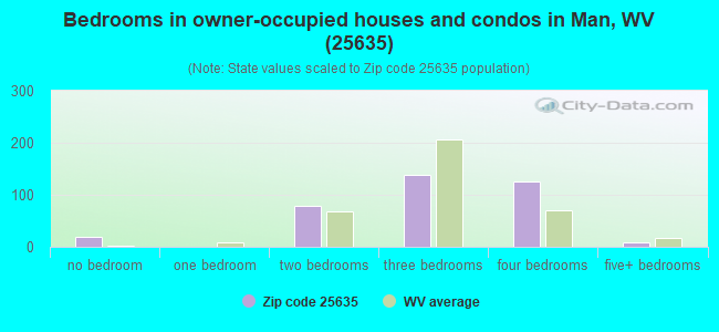 Bedrooms in owner-occupied houses and condos in Man, WV (25635) 