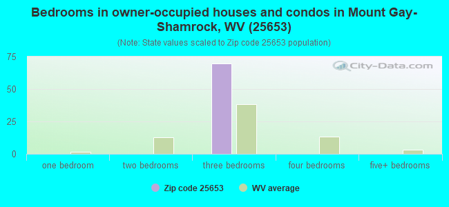 Bedrooms in owner-occupied houses and condos in Mount Gay-Shamrock, WV (25653) 
