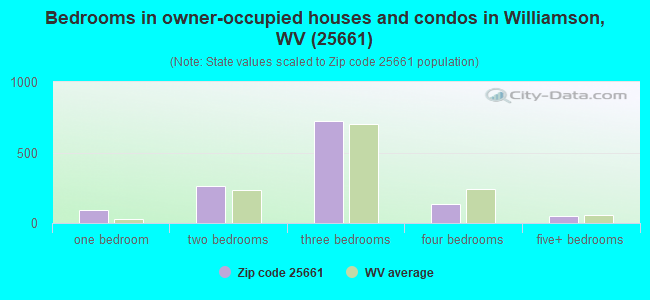 Bedrooms in owner-occupied houses and condos in Williamson, WV (25661) 
