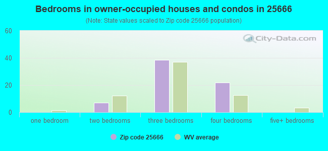 Bedrooms in owner-occupied houses and condos in 25666 