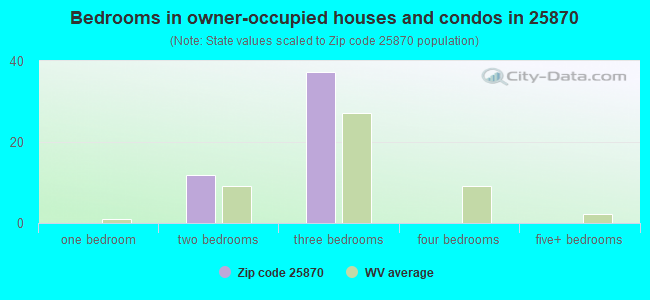 Bedrooms in owner-occupied houses and condos in 25870 