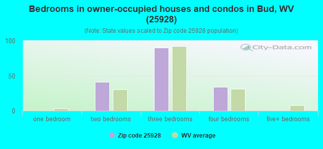 Bedrooms in owner-occupied houses and condos in Bud, WV (25928) 