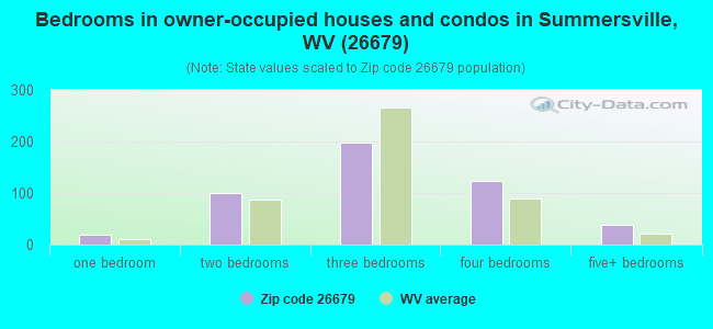 Bedrooms in owner-occupied houses and condos in Summersville, WV (26679) 