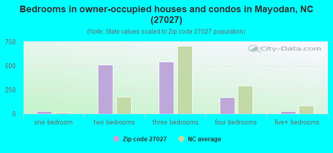 Bedrooms in owner-occupied houses and condos in Mayodan, NC (27027) 