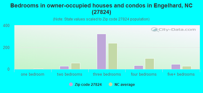 Bedrooms in owner-occupied houses and condos in Engelhard, NC (27824) 