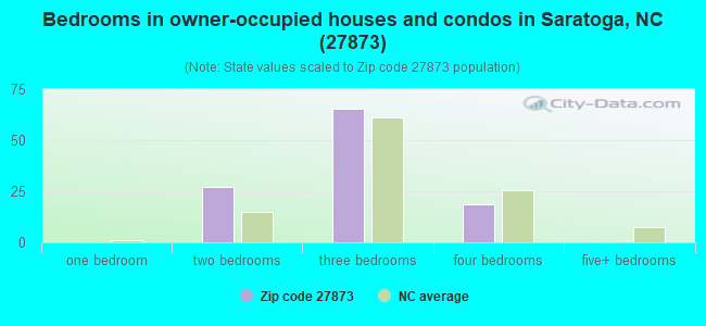 Bedrooms in owner-occupied houses and condos in Saratoga, NC (27873) 