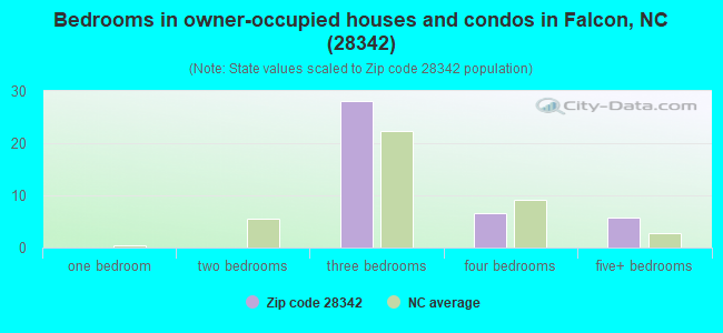 Bedrooms in owner-occupied houses and condos in Falcon, NC (28342) 