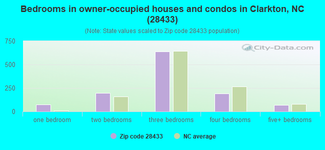 Bedrooms in owner-occupied houses and condos in Clarkton, NC (28433) 