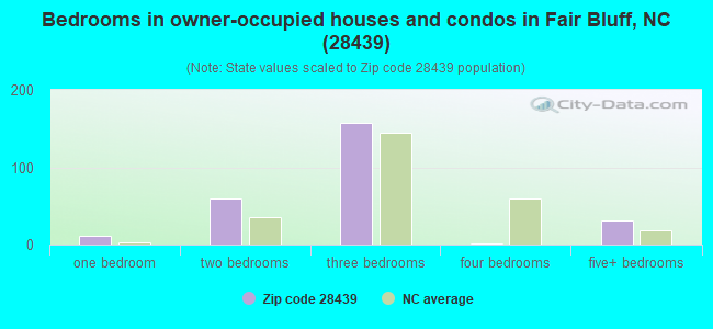 Bedrooms in owner-occupied houses and condos in Fair Bluff, NC (28439) 