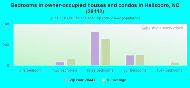 Bedrooms in owner-occupied houses and condos in Hallsboro, NC (28442) 