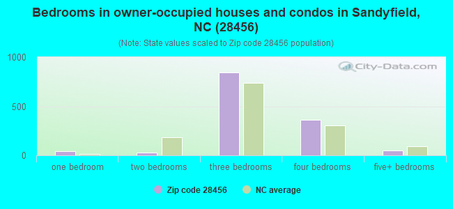 Bedrooms in owner-occupied houses and condos in Sandyfield, NC (28456) 