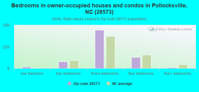 Bedrooms in owner-occupied houses and condos in Pollocksville, NC (28573) 