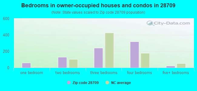 Bedrooms in owner-occupied houses and condos in 28709 