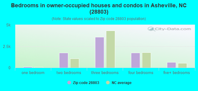 Bedrooms in owner-occupied houses and condos in Asheville, NC (28803) 