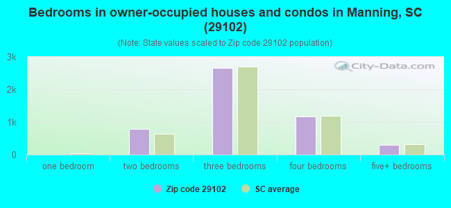 Bedrooms in owner-occupied houses and condos in Manning, SC (29102) 