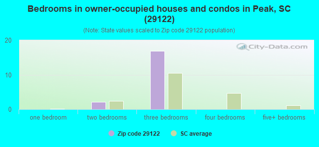 Bedrooms in owner-occupied houses and condos in Peak, SC (29122) 