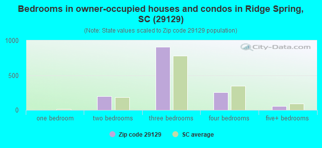 Bedrooms in owner-occupied houses and condos in Ridge Spring, SC (29129) 