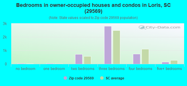 Bedrooms in owner-occupied houses and condos in Loris, SC (29569) 