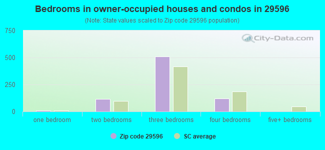 Bedrooms in owner-occupied houses and condos in 29596 