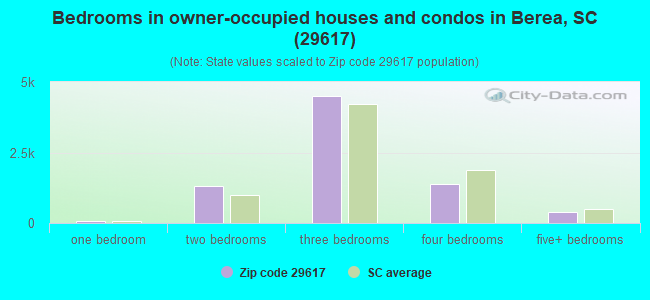 Bedrooms in owner-occupied houses and condos in Berea, SC (29617) 