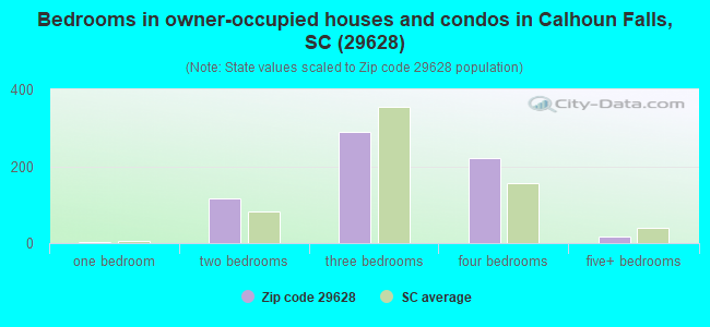 Bedrooms in owner-occupied houses and condos in Calhoun Falls, SC (29628) 