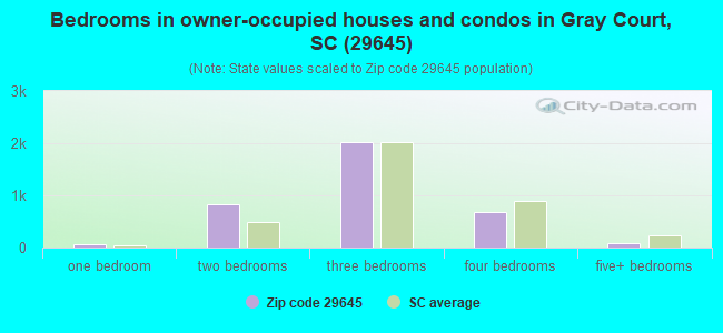 Bedrooms in owner-occupied houses and condos in Gray Court, SC (29645) 