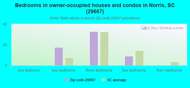 Bedrooms in owner-occupied houses and condos in Norris, SC (29667) 