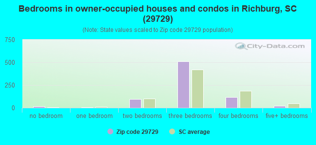 Bedrooms in owner-occupied houses and condos in Richburg, SC (29729) 