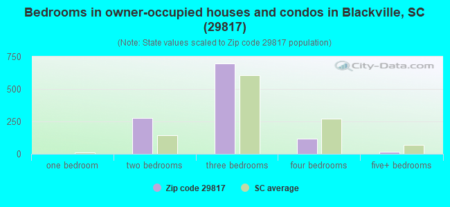 Bedrooms in owner-occupied houses and condos in Blackville, SC (29817) 