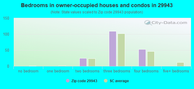 Bedrooms in owner-occupied houses and condos in 29943 