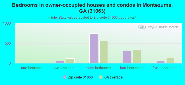 Bedrooms in owner-occupied houses and condos in Montezuma, GA (31063) 