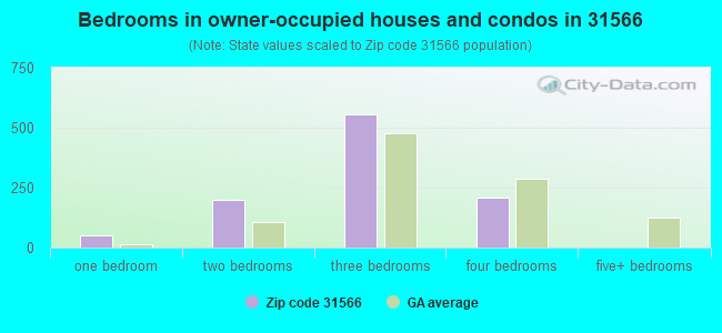 Bedrooms in owner-occupied houses and condos in 31566 