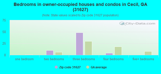 Bedrooms in owner-occupied houses and condos in Cecil, GA (31627) 