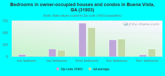 Bedrooms in owner-occupied houses and condos in Buena Vista, GA (31803) 