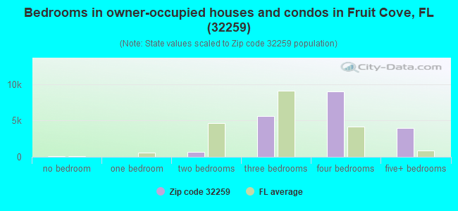 Bedrooms in owner-occupied houses and condos in Fruit Cove, FL (32259) 