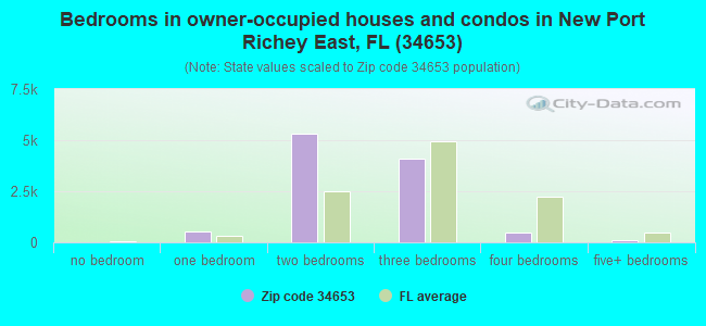 Bedrooms in owner-occupied houses and condos in New Port Richey East, FL (34653) 