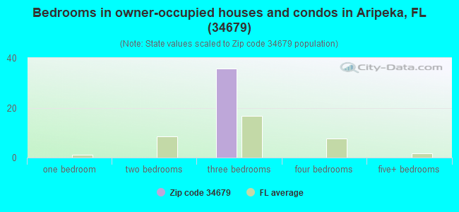 Bedrooms in owner-occupied houses and condos in Aripeka, FL (34679) 