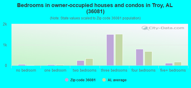 Bedrooms in owner-occupied houses and condos in Troy, AL (36081) 