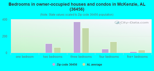 Bedrooms in owner-occupied houses and condos in McKenzie, AL (36456) 