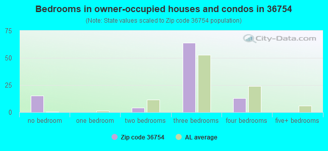 Bedrooms in owner-occupied houses and condos in 36754 