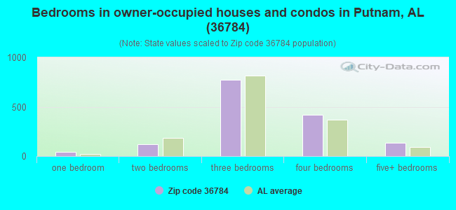 Bedrooms in owner-occupied houses and condos in Putnam, AL (36784) 