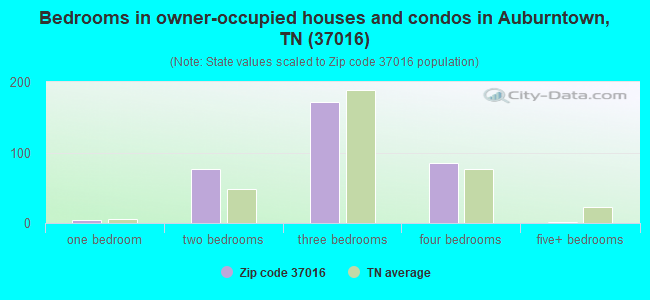 Bedrooms in owner-occupied houses and condos in Auburntown, TN (37016) 