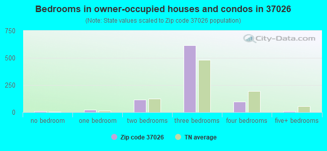 Bedrooms in owner-occupied houses and condos in 37026 