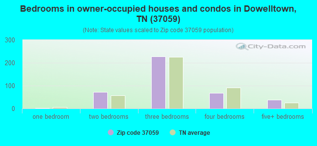 Bedrooms in owner-occupied houses and condos in Dowelltown, TN (37059) 