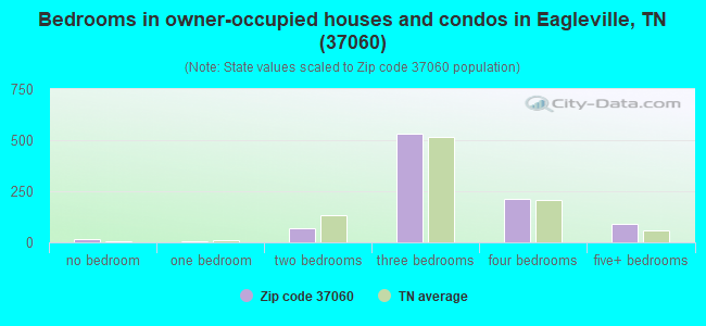 Bedrooms in owner-occupied houses and condos in Eagleville, TN (37060) 