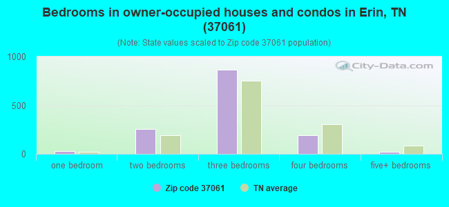 Bedrooms in owner-occupied houses and condos in Erin, TN (37061) 