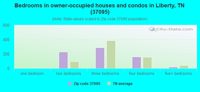 Bedrooms in owner-occupied houses and condos in Liberty, TN (37095) 