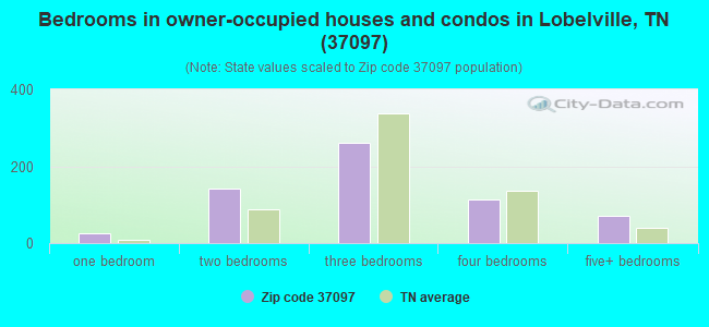 Bedrooms in owner-occupied houses and condos in Lobelville, TN (37097) 
