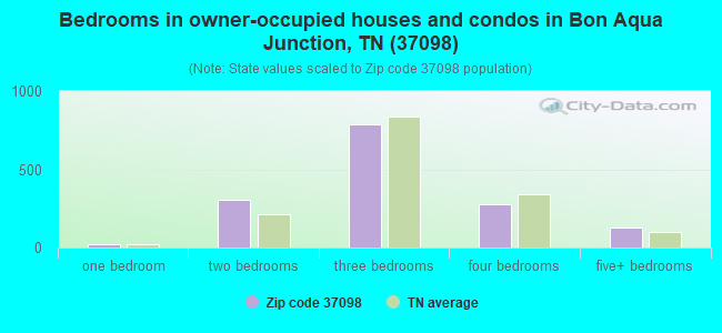 Bedrooms in owner-occupied houses and condos in Bon Aqua Junction, TN (37098) 