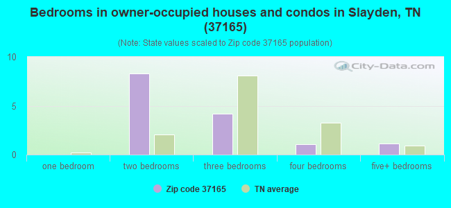 Bedrooms in owner-occupied houses and condos in Slayden, TN (37165) 